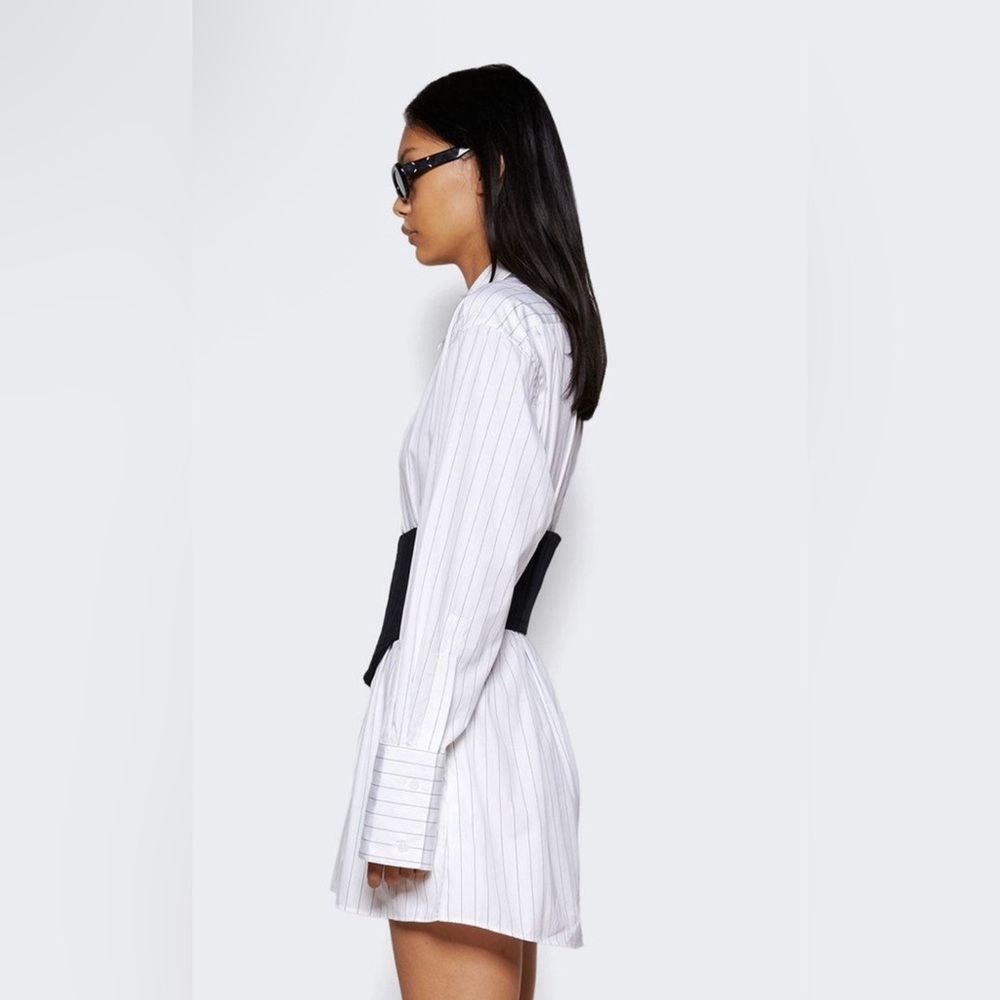 Dion Lee Internal Shirt Corset dress NWOT - Picture 5 of 6